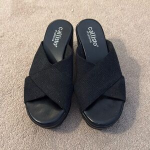 Callisto platform slides.